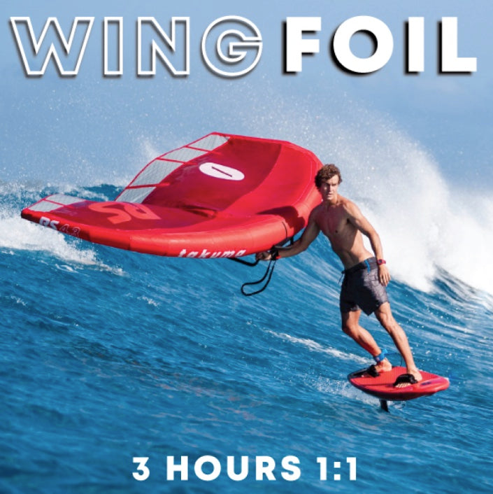 WING FOIL Clinic 3hr 1:1