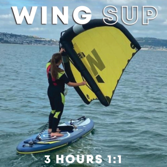 WING SUP CLINIC 3hr 1:1