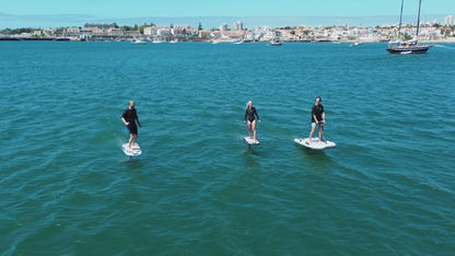 Waydoo Flyer EVO Max Plus